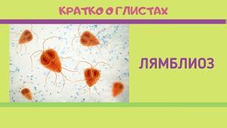 Кратко о глистах. Часть 2. Лямблиоз.