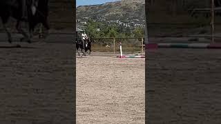 Vega training for barrel racing with a really weird song.