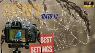 Sony RX10 IV - Best 4K settings for Nature Photography, Shooting wildlife & Timelapse