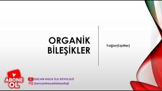 5) Organik Bileşikler (Yağlar-Lipitler) (Ercan Hoca İle Biyoloji)