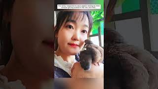 This family happened to see a pigeon nesting by their window getting soaked in the rain, and then...