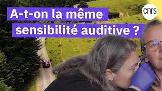 L'audition dans tous ses états | Reportage CNRS