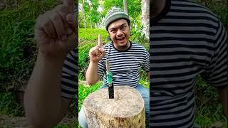 SIMPLE IDEAS YOU SHOULD KNOW  #forest #short #survival