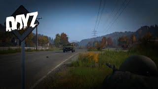 Когда пытаешься заполучить тигр - Dayz Maslenok