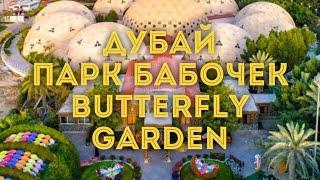 VLOG:Дубай/Парк бабочек - Butterfly Park/Куда сходить с ребёнком