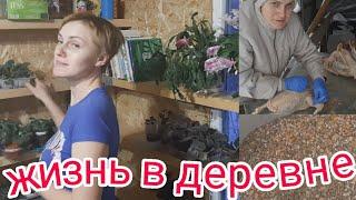 ДЕРЕВЕНСКИЕ ЗАРИСОВКИ/ЖИЗНЬ В ДЕРЕВНЕ