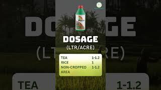 Roundup Herbicide | Glyphosate 41% sl | Roundup