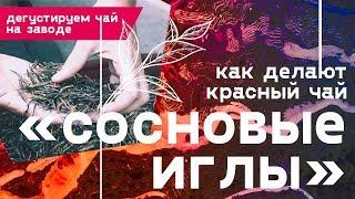 Как делают красный чай Сосновые Иглы. Дегустируем чай на заводе.