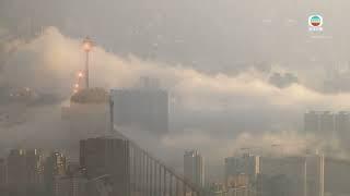 TVB News｜3 March 2025│Foggy weather in Hong Kong