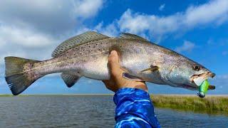BIG Speckled Trout in Deep Holes!