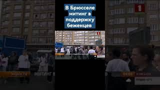 Митинг в поддержку беженцев! В Брюсселе собрались десятки правозащитников