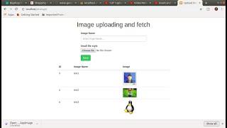 Insert and fetch image in database using php