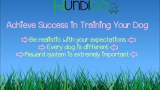 Achieve Success in Training Your Dog