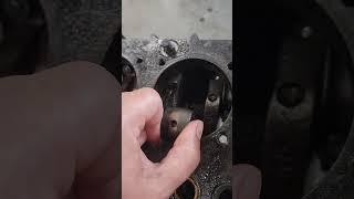 VW folks please help #vw #aircooled #shorts #diy #help