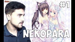 NekoPara Еще Одна Новелла! Прохождение на Русском #1