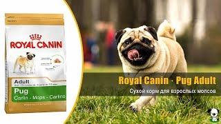 Корм для взрослых собак породы мопс · Royal Canin Pug Adult