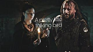 Leave a light on | Sansa & Sandor [Sansan]