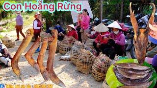 CHỢ MƯỜNG THANH ĐIỆN BIÊN BÁN TOÀN ĐỒ RỪNG ĐỘC LẠ | Miền núi tây bắc