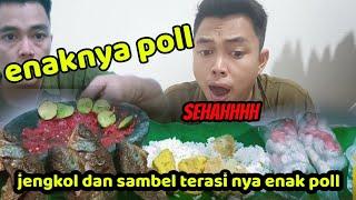 AROMA JENGKOL MENTAH SAMA SAMBEL TERASI BIKIN MAKAN GAK BISA BERHENTI!! mukbang real