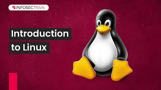 Introduction to Linux |  Mastering Penetration Testing from Installation to Advanced Techniques!