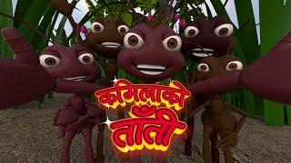 Kamilako Taati ll कमिलाको ताँती  ll Pukuluku Kids Rhymes ll Nursery Rhymes   