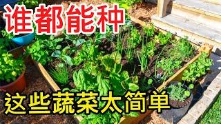 10种最好种的蔬菜 Top 10 Easiest Vegetables to Grow