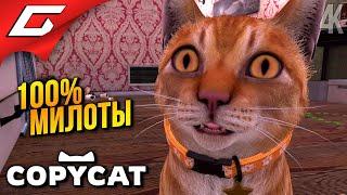 САМАЯ МИЛАЯ ИГРА 2024  Copycat ◉ Прохождение 1