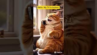 Calling master sheep to come to fix my TV #catstory #aicat #cuteanimal
