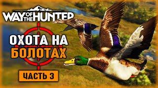 ОХОТА С НОВЫМИ ВИНТОВКАМИ! ОХОТА НА БОЛОТАХ! | Way of the Hunter  | Часть #3