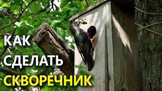 Размеры скворечника. Как сделать простой, но хороший домик для птиц?