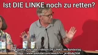 Ausschnitt: Ist die LINKE noch zu retten? Veranstaltung Fraktion DIE LINKE im Bundestag. #politik