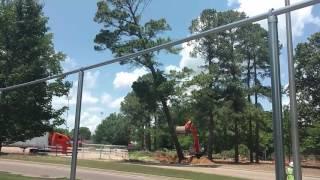 Tree tries to stand up to bully