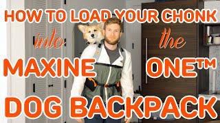 How To Load Your Chonk Into The Maxine One™ Dog Backpack