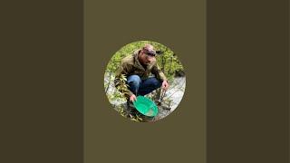 Happy Mother’s Day! LIVE Washington State Front Yard Gold Prospecting! #shorts #prospecting