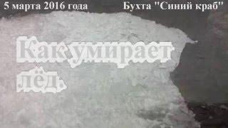 5 марта 2016 года. Как умирает лёд.