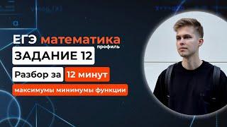 Задание 12. ЕГЭ математика 2025 профиль. Новый разбор за 12 минут! Максимумы минимумы функций