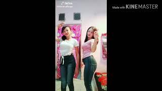 Tiktok abg udah cantik pinter goyang lagi