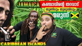 EP#2 MDMA അല്ല!! കഞ്ചാവ് | കേരളത്തിന്റെ duuup| Caribbean Jamaica l