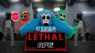 Lethal ape Жуткая игра