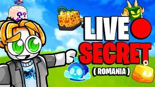 Live SECRET (Blox Fruits Romania) AM FACUT 10K!!!! 