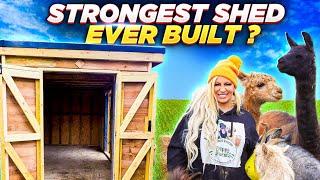 We Built The Strongest Hay Shed For Jodie Marsh