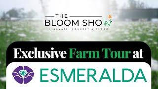  A Special Tour of Esmeralda Farms at Expo Flor Ecuador 2024!