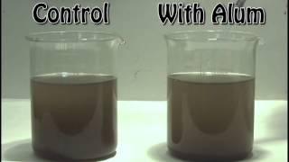 Flocculation