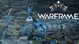 The rabbit is rabid | Warframe