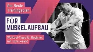 Der beste Trainingsplan für Muskelaufbau: Bro-Split? Push/Pull/Legs? I Fitnessathlet redet Klartext!