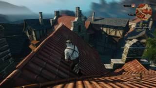 The Witcher 3: Wild Parkour - Novigrad