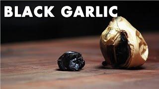 Black Garlic - Product Spotlight Video