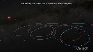 Brown Dwarf Duo Orbits Cool Star