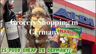 Grocery Shopping in Germany | ALDI Mart  | Groceries Ep.1