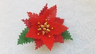 Рождественский цветок из бисера. Christmas star. Пуансетия